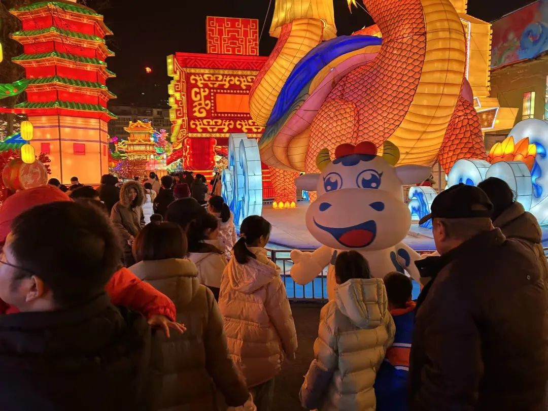 央視直播鄭州龍年燈會(huì)迎新春，花花牛品牌上大分