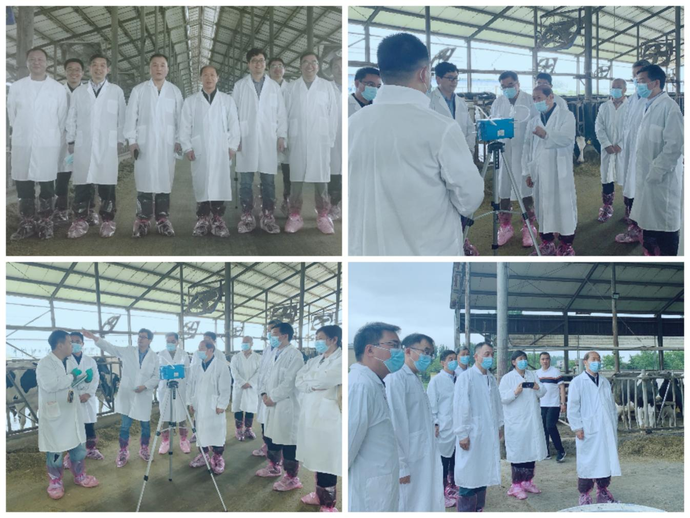 花花牛丨河南農(nóng)業(yè)大學(xué)黨委副書記、校長介曉磊一行蒞臨花花牛河南瑞亞參觀調(diào)研