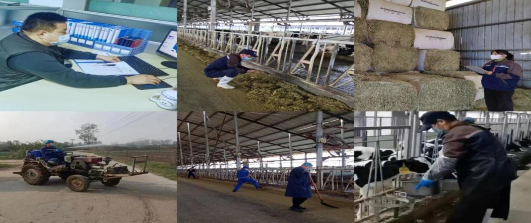 @全體花花牛人：請珍惜你的崗位，請善待我們共同的“花花?！?！