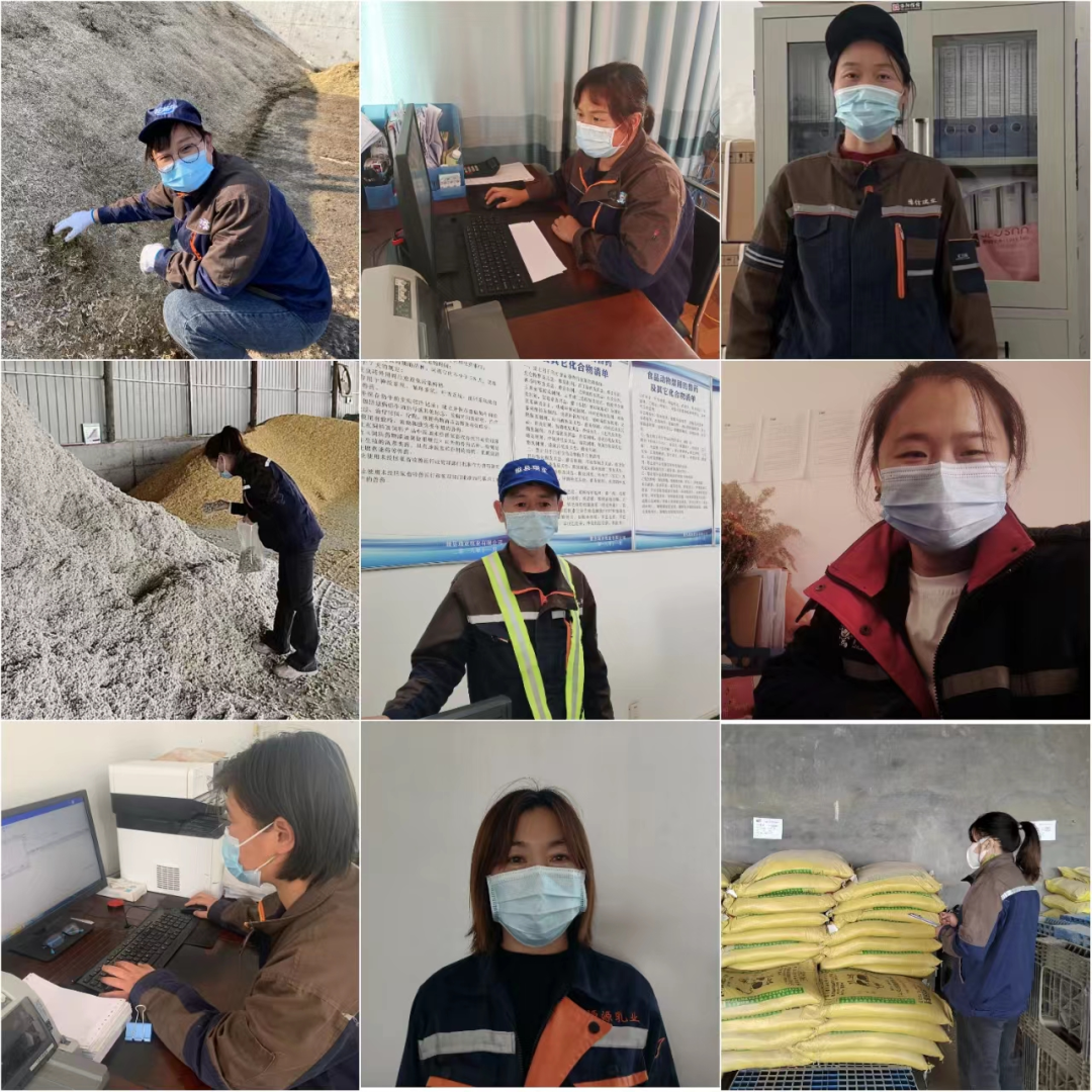 花花牛丨點點微光匯星河——養(yǎng)殖事業(yè)部抗疫保生產(chǎn)側記 花花牛丨點點微光匯星河——養(yǎng)殖事業(yè)部抗疫保生產(chǎn)側記