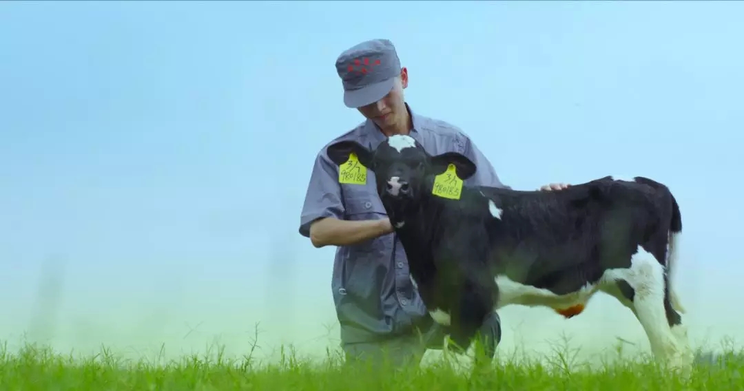 河南省人大常委會(huì)黨組書記、副主任孔昌生蒞臨花花牛魯山瑞亞牧場(chǎng)參觀調(diào)研