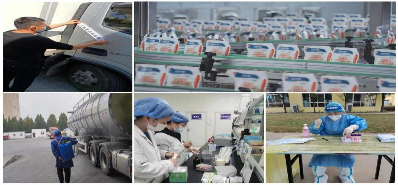 花花牛 | 讓牛奶和面包傳遞抗疫溫暖力量 花花牛 | 讓牛奶和面包傳遞抗疫溫暖力量