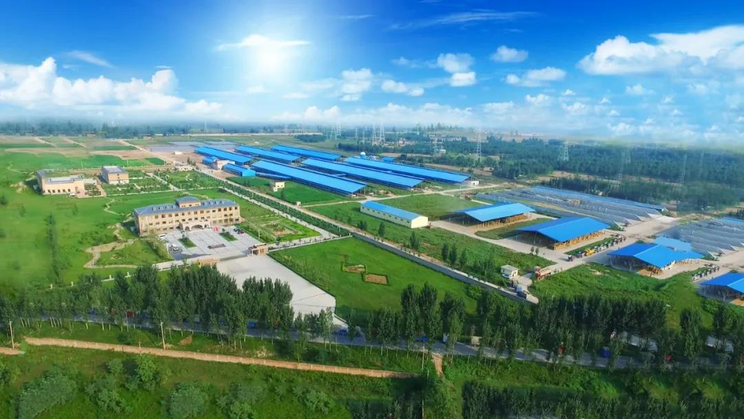 喜訊 | 花花牛一座自有牧場入選河南省“DHI測定優(yōu)秀牧場” 喜訊 | 花花牛一座自有牧場入選河南省“DHI測定優(yōu)秀牧場”