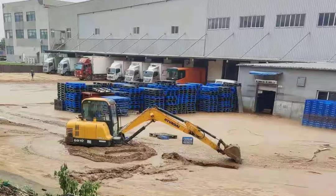 【乳報·聚焦】“豫”難而上的中原牛人“太中了”！