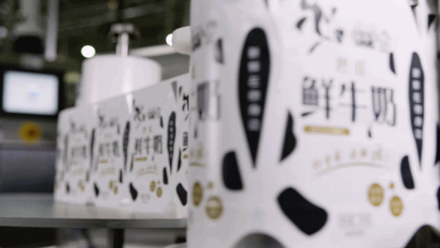 快訊 | 長江商學(xué)院智能制造學(xué)會(huì)走進(jìn)花花牛乳業(yè)集團(tuán) 快訊 | 長江商學(xué)院智能制造學(xué)會(huì)走進(jìn)花花牛乳業(yè)集團(tuán)