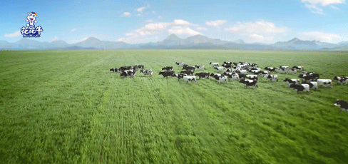 榮譽 | 2019年度河南省美麗牧場名單新鮮出爐 花花牛乳業(yè)集團旗下六個牧場榜上有名
