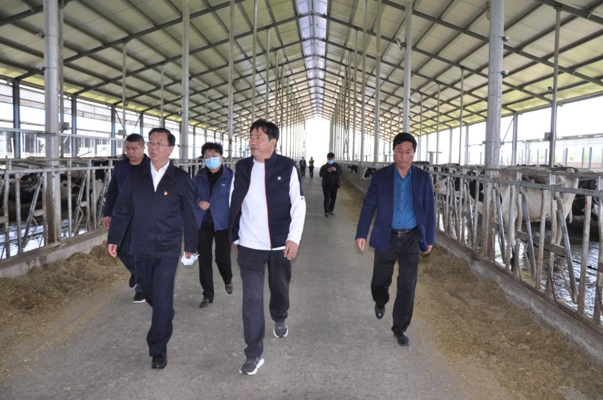 商丘市委常委、宣傳部部長王全周一行蒞臨睢縣瑞亞牧業(yè)有限公司調(diào)研