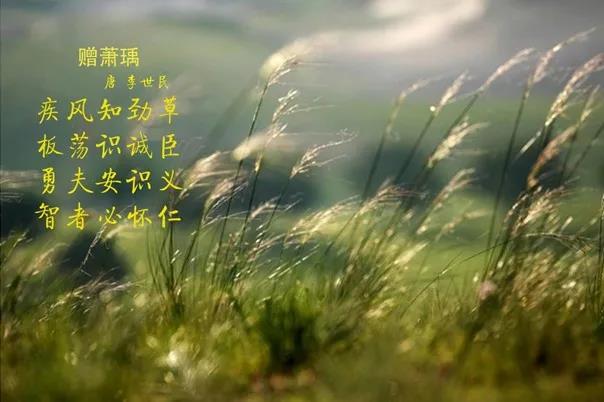 花花牛 | 疾風(fēng)來(lái)臨，你是不是勁草？