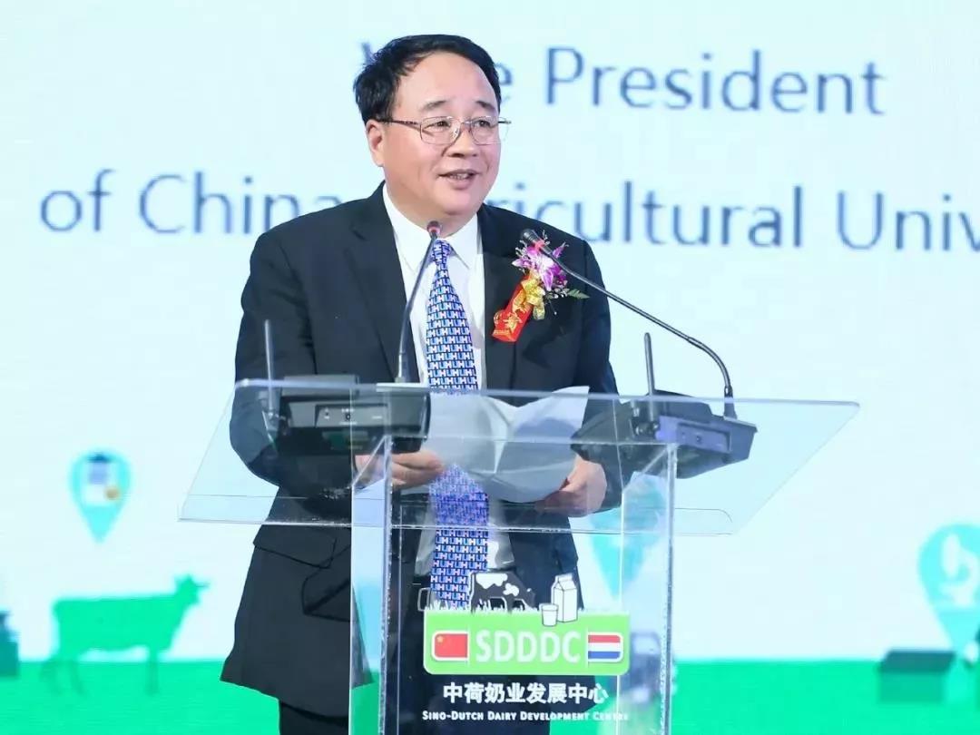 SDDDC走進(jìn)河南，看看花花牛的國(guó)際范兒！