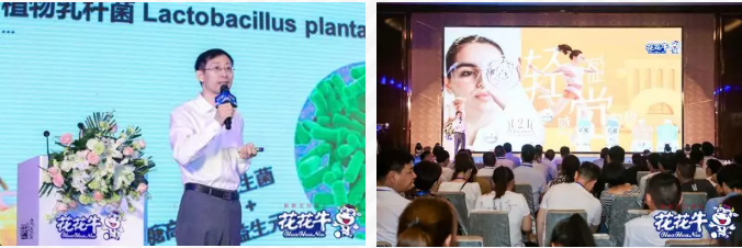 花花牛輕覺上市暨優(yōu)質(zhì)乳工程認(rèn)證發(fā)布會(huì)，盛大啟幕！