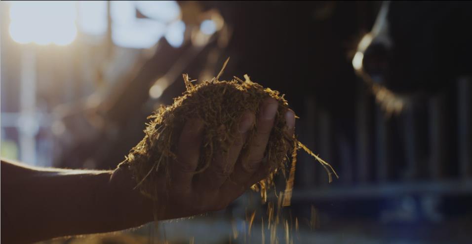 又雙叒叕獲獎(jiǎng)啦！花花牛榮獲“乳品質(zhì)量安全管理 優(yōu)秀企業(yè)”