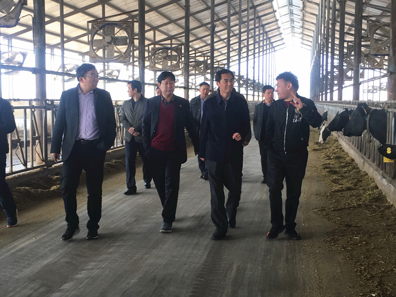 封丘縣縣長(zhǎng)王獻(xiàn)臣一行蒞臨 花花牛集團(tuán)養(yǎng)殖、乳品事業(yè)部參觀調(diào)研