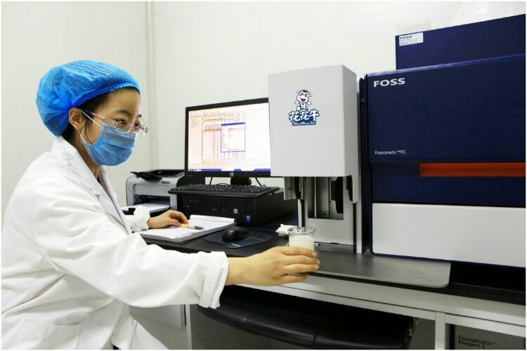 花花牛：務(wù)實(shí)、創(chuàng)新領(lǐng)潮市場(chǎng) 大企業(yè)體現(xiàn)大擔(dān)當(dāng)