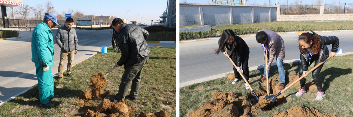 2016年植樹(shù)節(jié)活動(dòng)