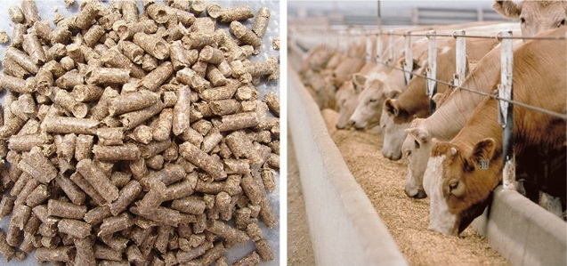 熱烈祝賀河南全赫飼料有限公司獲得質(zhì)量管理和食品安全管理 體系認證證書